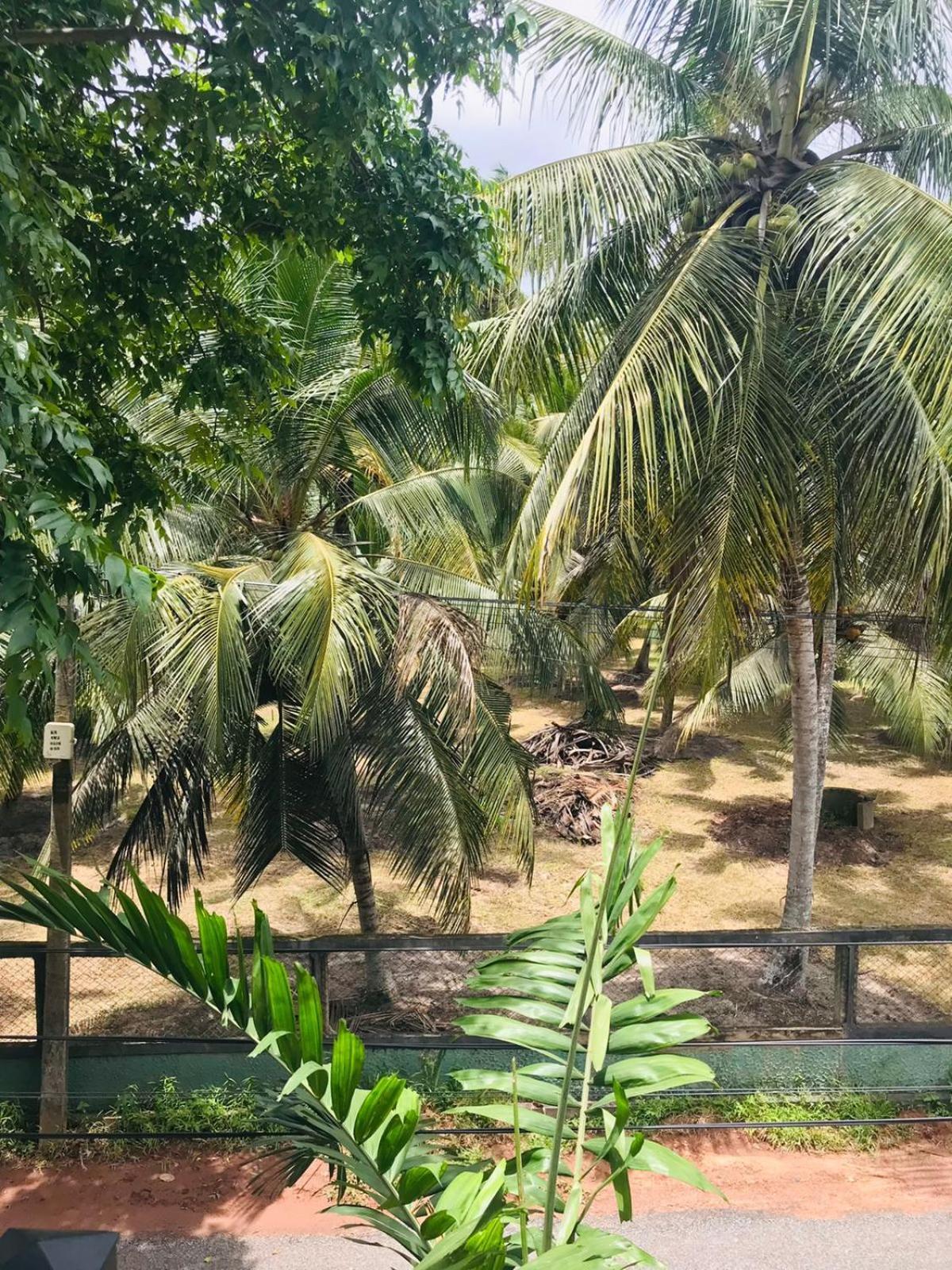 Sri White Villa Airport Boutique Hotel Katunayaka Esterno foto